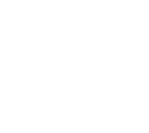 Olerion, service de cyberprotection